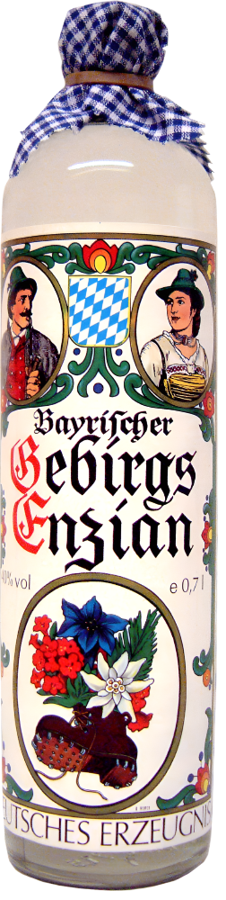 Bayerischer Gebrgsenzian