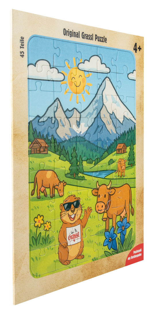 Original Grassl Puzzle