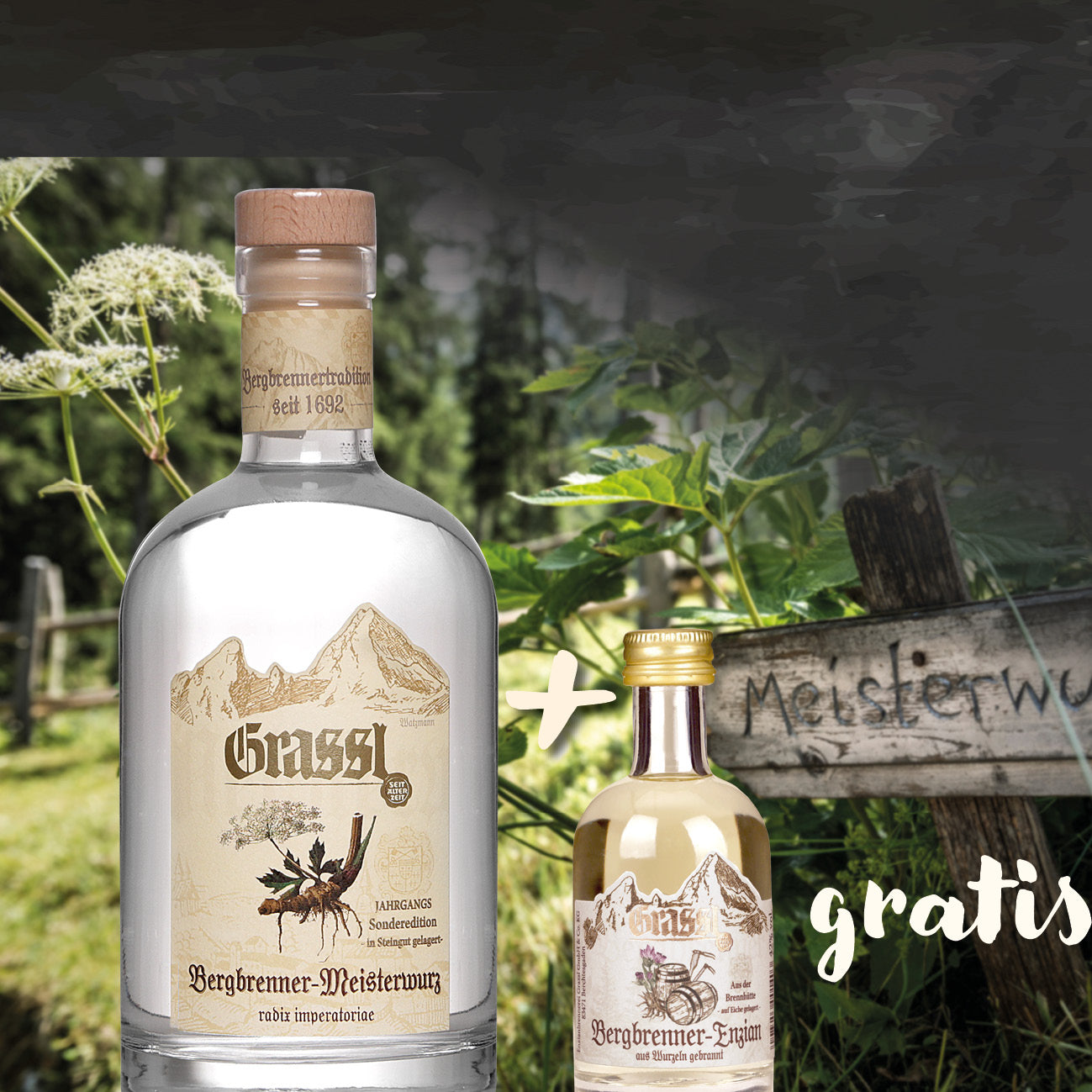 Bergbrenner-Probierset Meisterwurz 🌿⛰️🥃